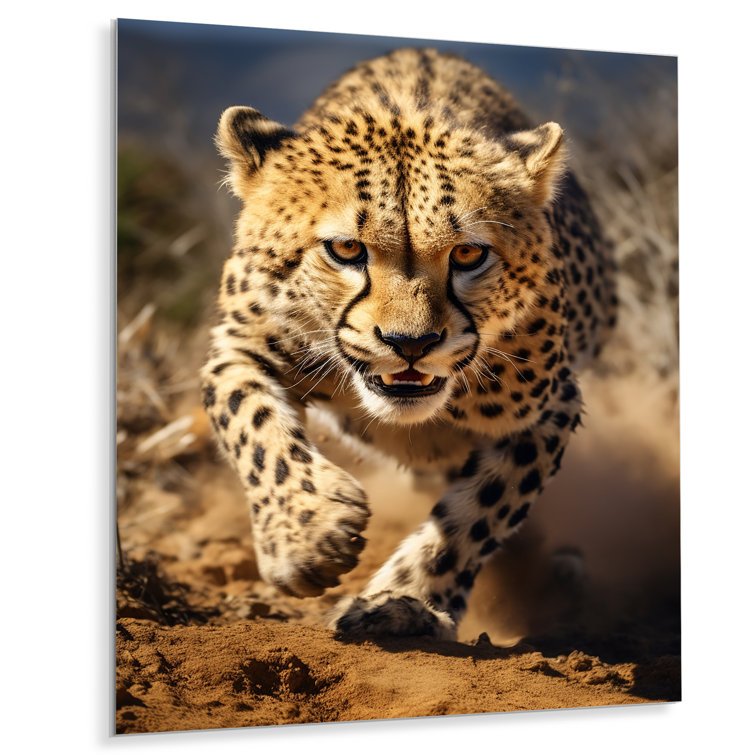 Ebern Designs Dangerous Cheetah Portrait On Metal - Wayfair Canada